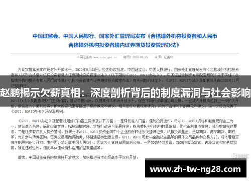 赵鹏揭示欠薪真相：深度剖析背后的制度漏洞与社会影响