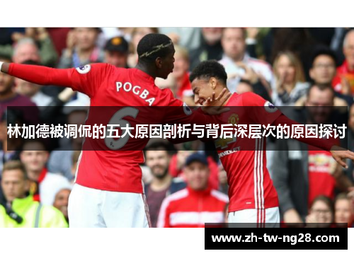 林加德被调侃的五大原因剖析与背后深层次的原因探讨